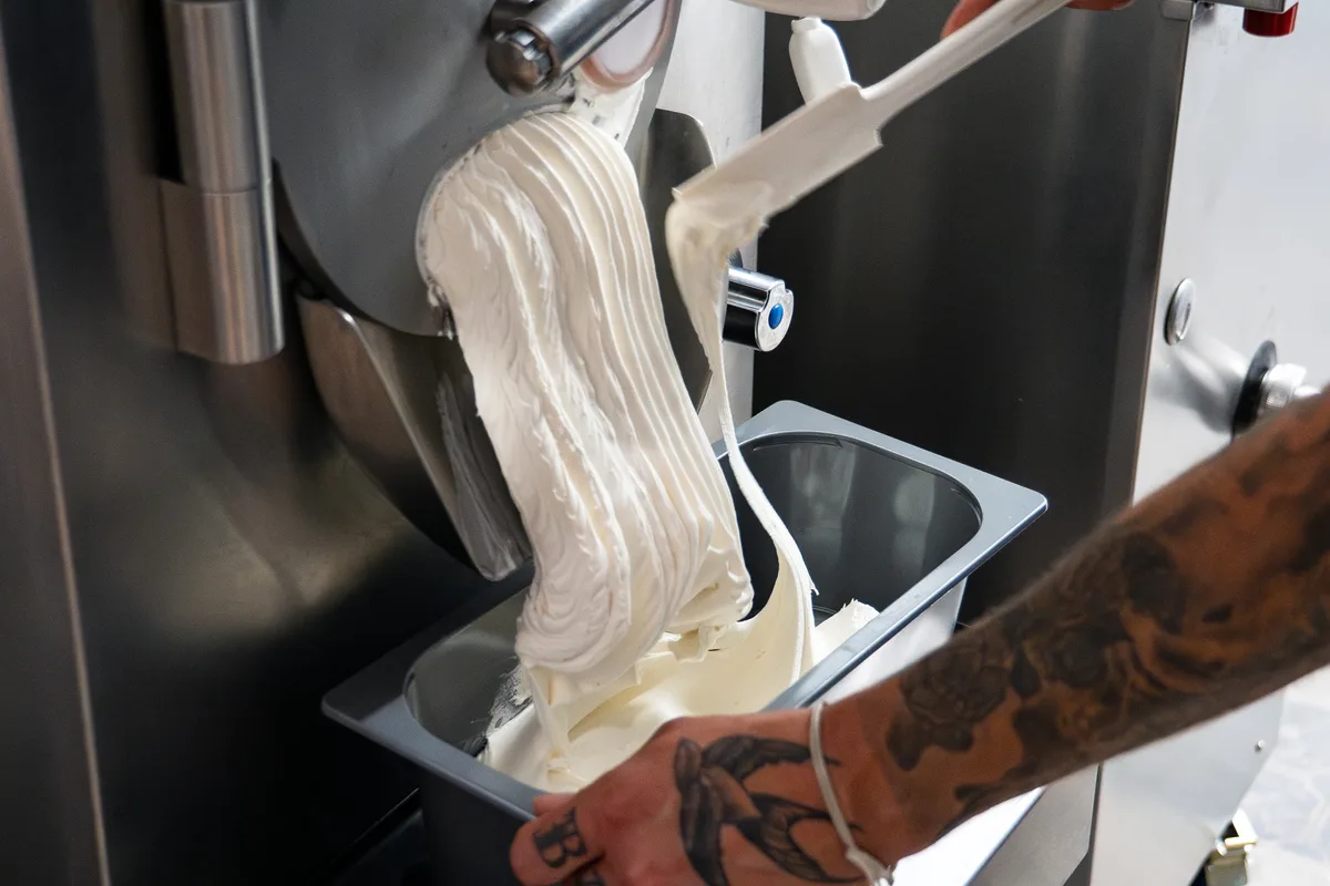 Noah von Gelatissimo in Egg im Portrait.